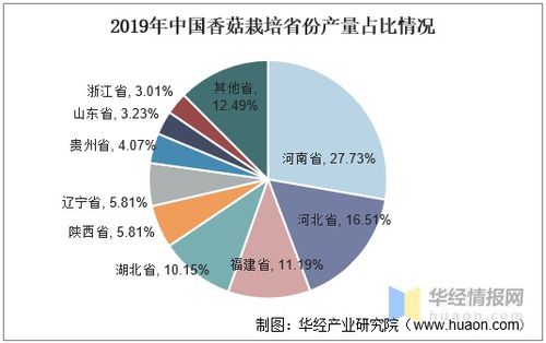 中國香菇產(chǎn)業(yè)發(fā)展現(xiàn)狀、趨勢與產(chǎn)業(yè)聚集度分析——以唐山軟件開發(fā)為例的關聯(lián)思考